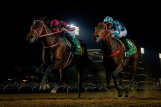 Download app from appStore