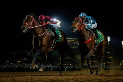 Download app from appStore