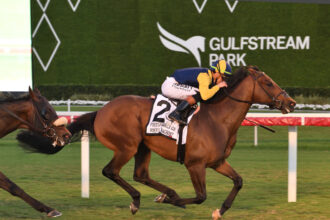 Download app from appStore