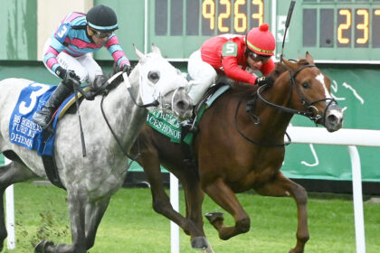 Download app from appStore