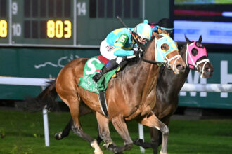 Download app from appStore