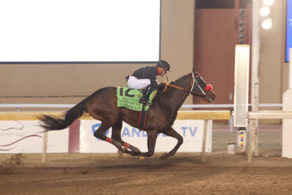 Download app from appStore