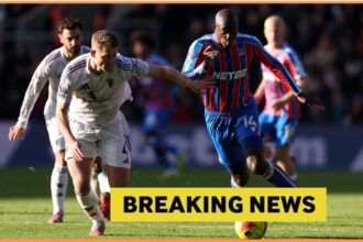 Jean-Philippe Mateta in action for Crystal Palace