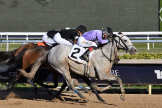 Download app from appStore