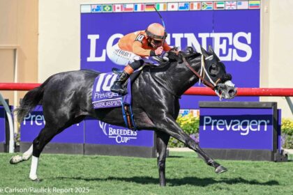 Download app from appStore