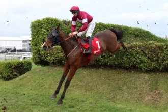 Download app from appStore