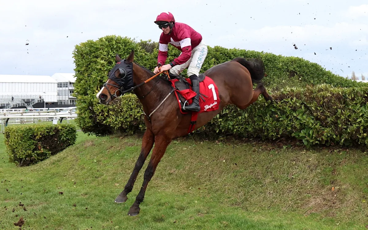 Download app from appStore