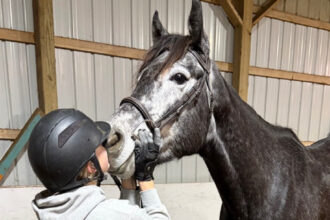 Yahoo lifestyle home