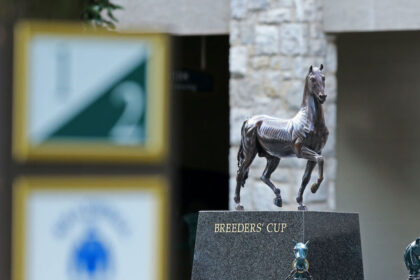 Download app from appStore