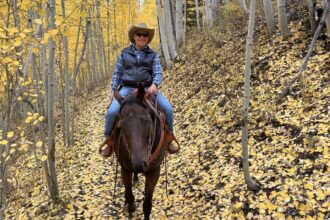 Yahoo lifestyle home