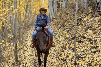 Yahoo lifestyle home