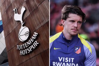 Split image of Tottenham badge and Conor Gallagher