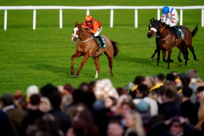 Download app from appStore