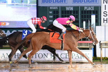 Download app from appStore