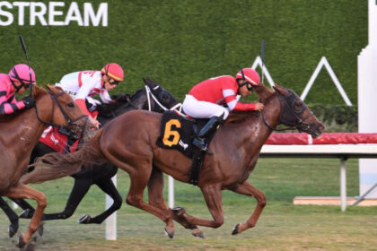 Download app from appStore