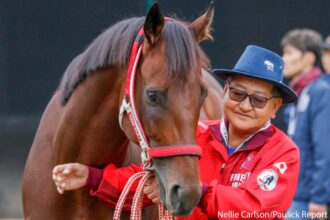 Download app from appStore