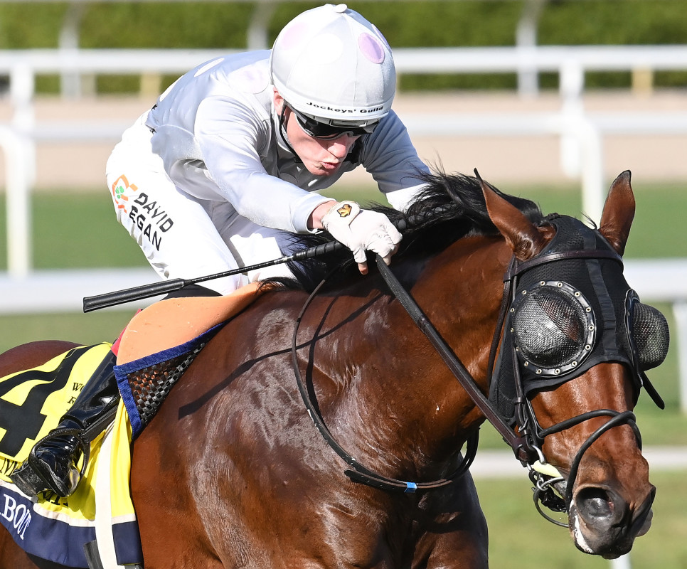 Download app from appStore