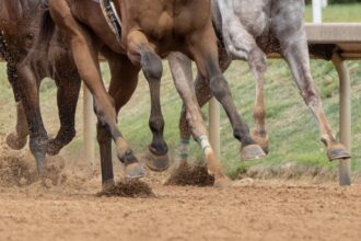 Download app from appStore