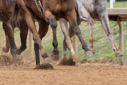 Download app from appStore