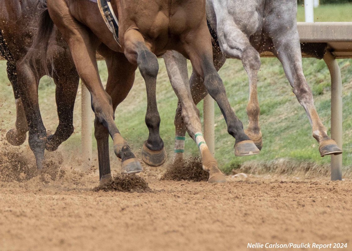 Download app from appStore