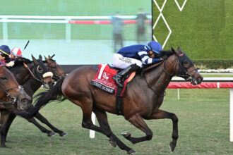 Download app from appStore