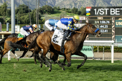 Download app from appStore