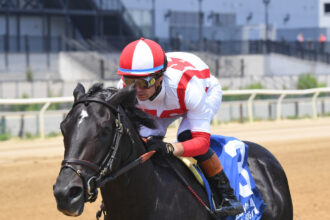 Download app from appStore