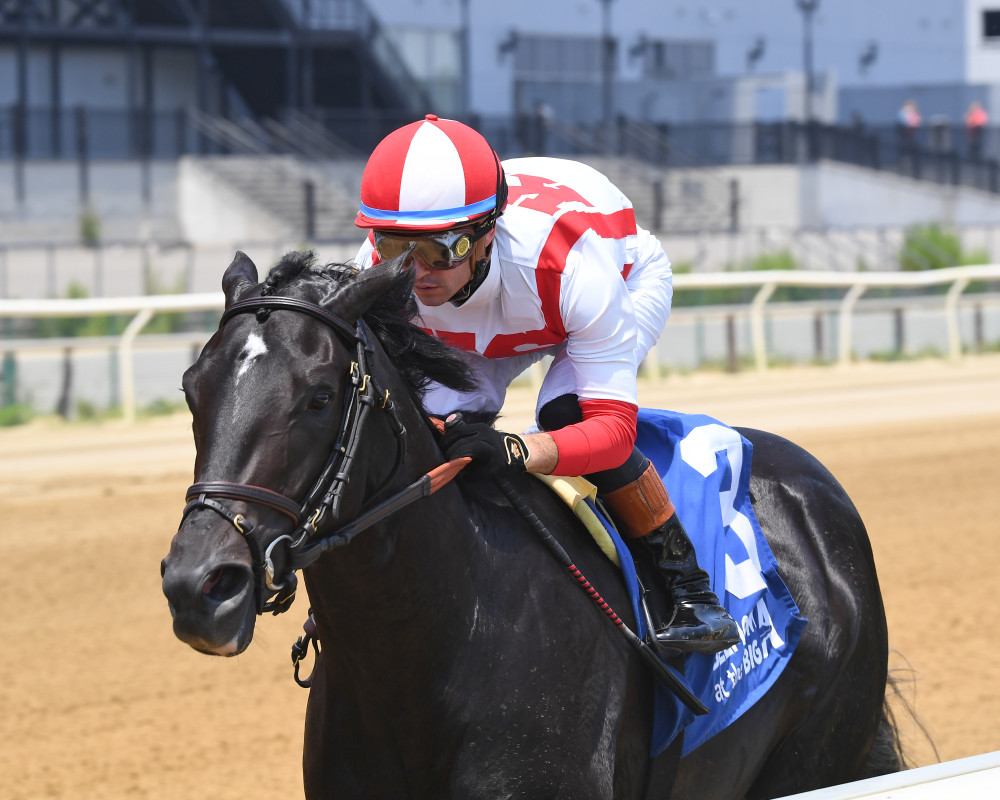 Download app from appStore