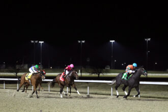 Download app from appStore