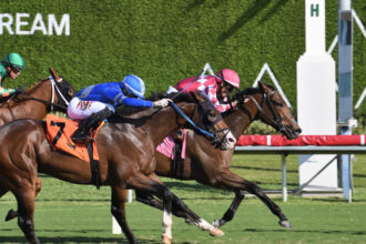 Download app from appStore