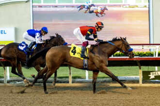 Download app from appStore