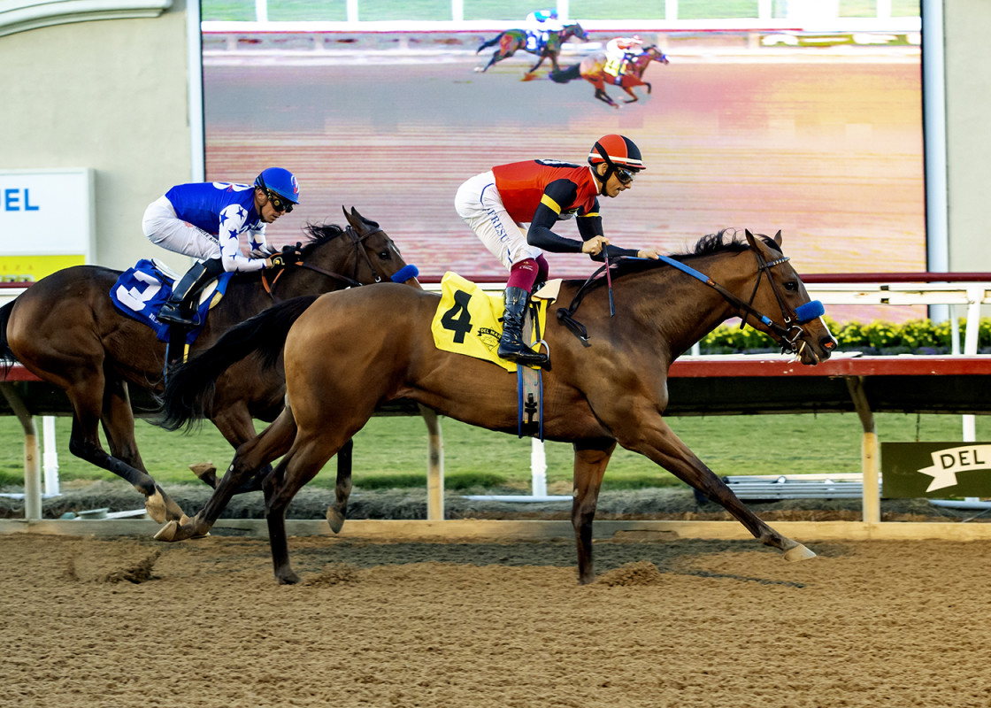 Download app from appStore