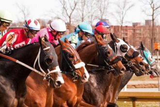 Download app from appStore