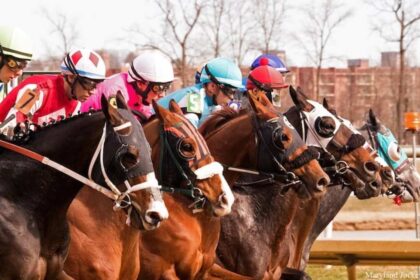 Download app from appStore