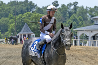 Download app from appStore