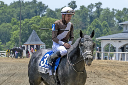 Download app from appStore