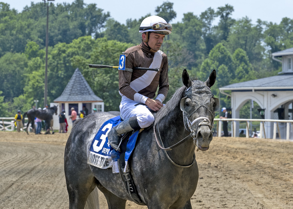 Download app from appStore