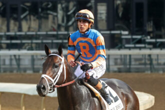 Download app from appStore