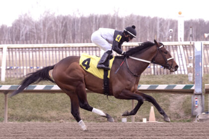 Download app from appStore