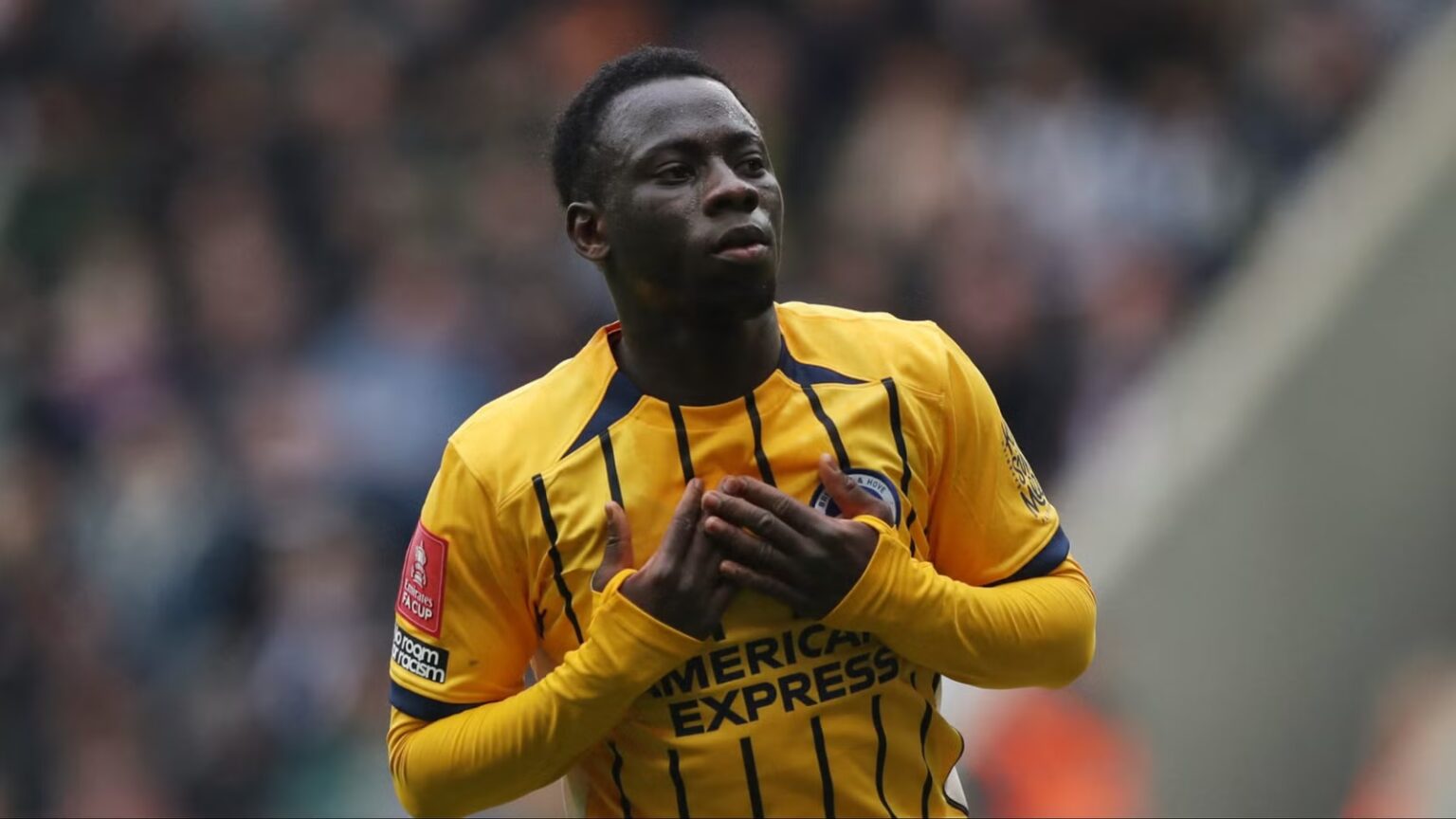 Newcastle target next Yankva Minte with 'huge potential'