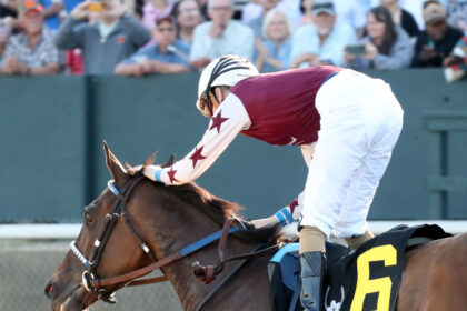 Download app from appStore