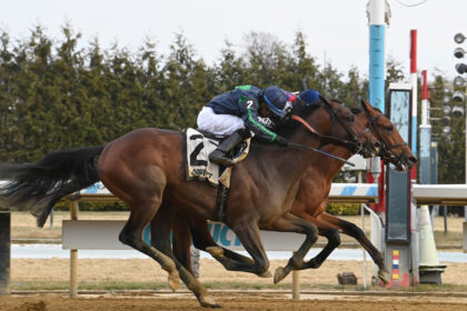 Download app from appStore