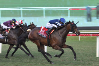 Download app from appStore