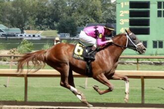 Download app from appStore