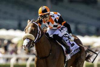 Download app from appStore