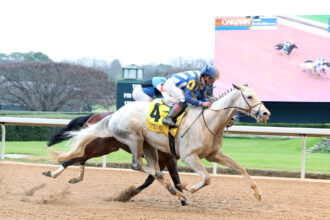 Download app from appStore