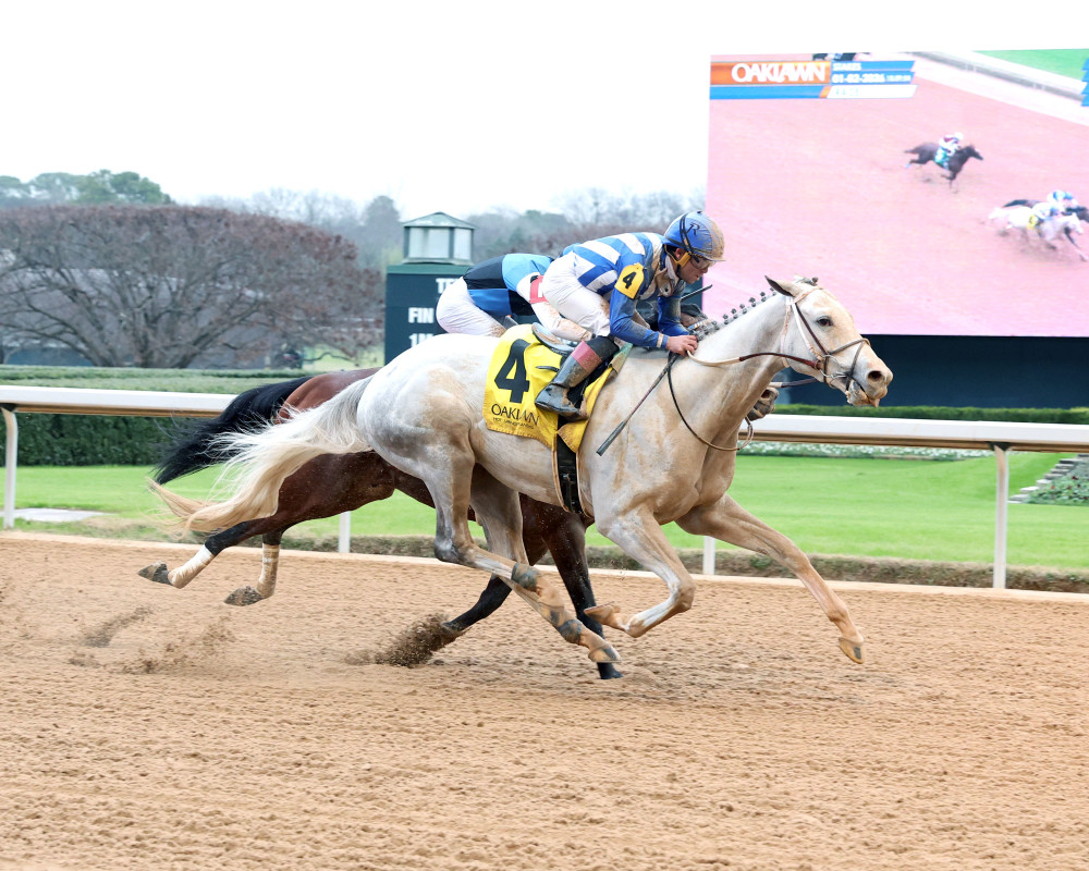 Download app from appStore