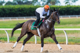 Download app from appStore