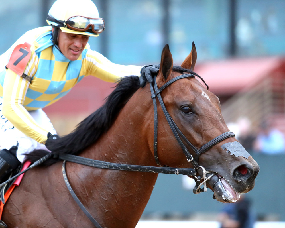 Download app from appStore