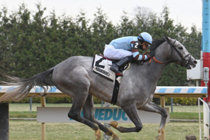 Download app from appStore